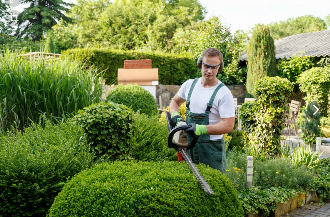 🌿  Floravidanict  - The art of reviving gardens